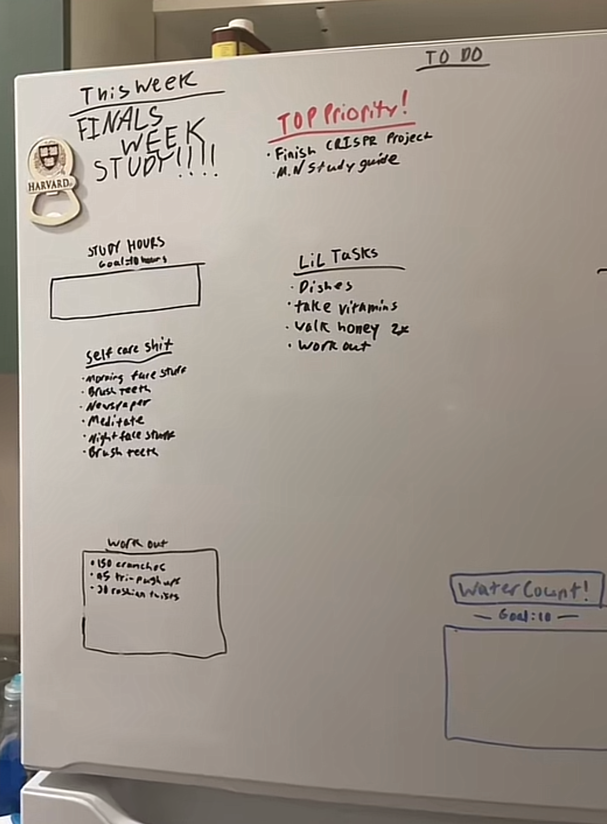 The original Daily Grind fridge setup: a handwritten weekly to-do list with sections for top priority, self-care, small tasks, studying, exercise, and water.